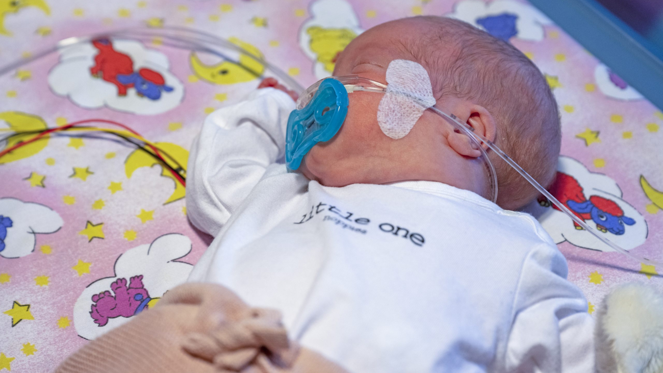 20250119-Faber-Hailey_001 Kopie